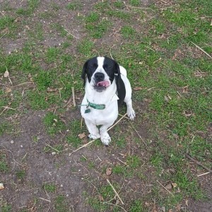 12557649_10156538693575604_567146772_o