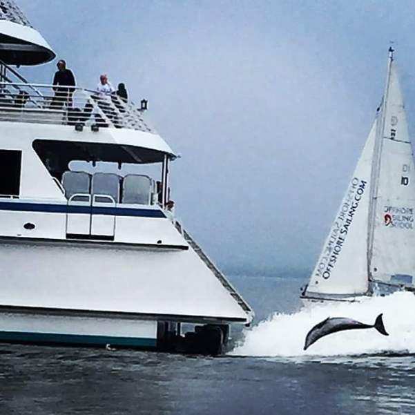 Photo: Stef Sanders @its_stef_with_a_f