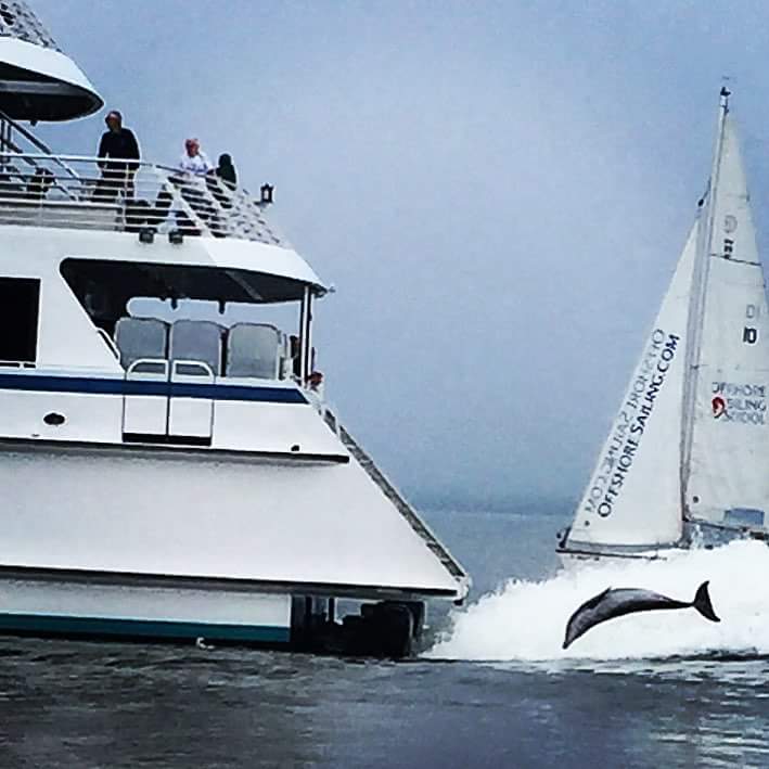 Photo: Stef Sanders @its_stef_with_a_f