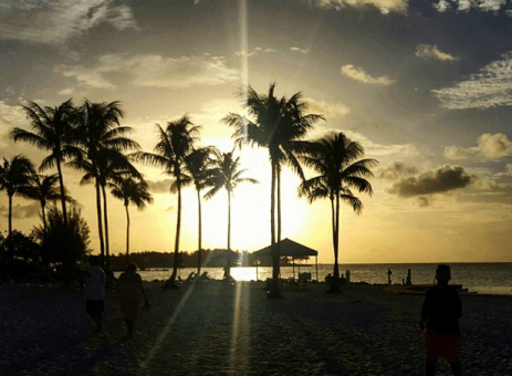 Screen Shot 2016-08-23 at 12.54.48 PM